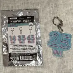 千葉ロッテマリーンズBSWオーロラキーホルダー 25岡大海選手