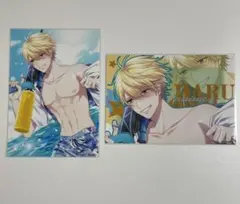 プラスメイト PLUSMATE 西園寺 ブロマイド 2点セット
