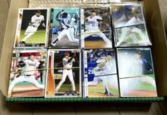 Item thumbnail for item d7ad155d-90c0-419b-ae83-ce066b3e780a