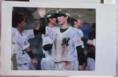 千葉ロッテマリーンズ シークレット チェキ 藤原恭大 交流戦