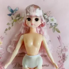 未使用　すみっコぐらしだいすきウエディングリカちゃん リカちゃん人形本体