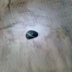 ヒスイ海岸で拾った謎石