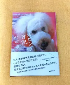 スピンク日記　町田康