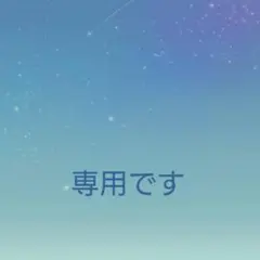 専用です