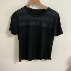 胸にレースのカットソー