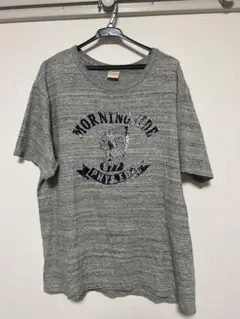 Cheswick モーニングサイド Tシャツ Mサイズ グレー