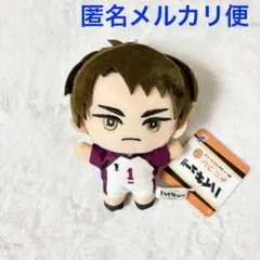 ハイキュー!! みにコレ！ぬいぐるみマスコット3 牛島若利
