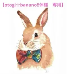 専用　スウェーデンドール　あみぐるみ