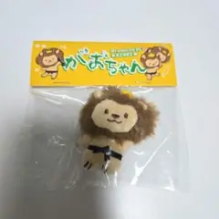 2025年最新】がおちゃん 武知海青の人気アイテム - メルカリ