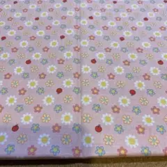 ◆QUILT GATE◆ マーガレット&ソフィー　お花とりんご　薄ピンク