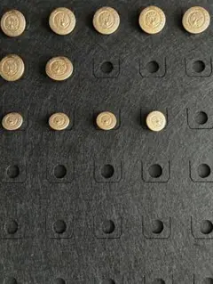 金色ボタンセット エンブレムデザイン