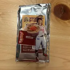 東北楽天ゴールデンイーグルス 岡島豪郎 アクスタキーホルダー