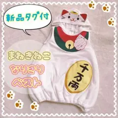 Item thumbnail for item a02cd314-2d41-4aca-9241-9bcad18c3dac