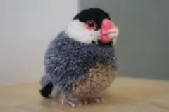桜文鳥【毛糸ぽんぽん】