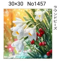 ダイヤモンドアートキット　No1457