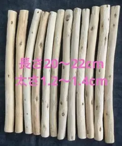 流木 12本 20〜22cm (23-01)