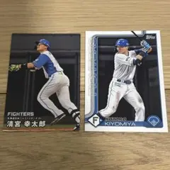 Item thumbnail for item 7bf0c76f-4b7e-4b7d-97f8-1e8928a6ded2