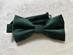 Item thumbnail for item c0904c96-d2fc-467b-8bc3-0815d98d4be4