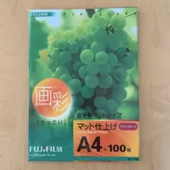 Item thumbnail for item 69b17e14-86a0-49f0-b48b-fc1144f47923