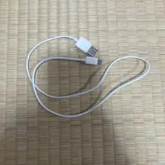 USB-Lightning 充電ケーブル