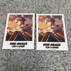 WIND BREAKER ウィンヒロ ポラロイド