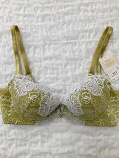 Item thumbnail for item 35462c93-eb76-4250-a697-117e48b2d373