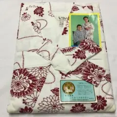 Item thumbnail for item ca28305c-74b9-44ab-93d5-8b421acf0b22