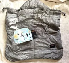 Item thumbnail for item d5007850-7d24-4e12-a709-f1cc4d734ab7