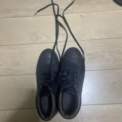 Item thumbnail for item 9d381d82-f79e-493a-bc62-915d5dfe6bfd