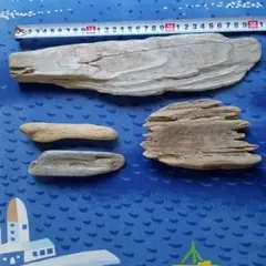 Item thumbnail for item d2f6d7f8-3f45-439a-885b-32682e2e42c7