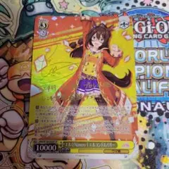 ヴァイスシュヴァルツ　エルコンドルパサー　sp