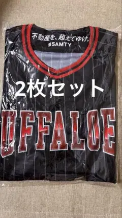 オリックスバッファロー　　2枚セット　非売品　夏の陣