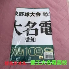値下げ交渉可能‼️愛工大名電野球部甲子園タオル 2022年 2022 愛工大名電 甲子園出場記念タオル