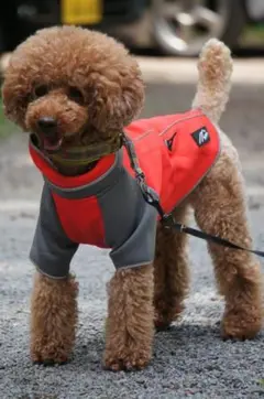 Item thumbnail for item b4351827-d7b1-4c40-8139-e399d296cd77