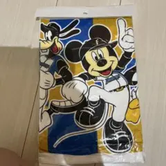 日本ハムファイターズ　ディズニー　タオル