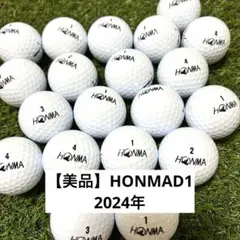【美品】2024年 ホンマ D1 ロストボール 白 20球