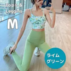 Item thumbnail for item 176b3a50-c9a7-489e-87d3-3366809c30fd