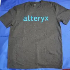 alteryx アルテリックス ロゴ Tシャツ リサイクル Lサイズ インド製