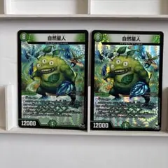 自然星人 2枚