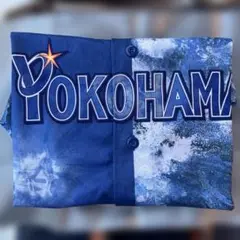 【本日発送】スターナイトユニフォーム【大人用】