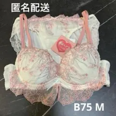 Item thumbnail for item 1e99708d-af30-46d8-a2c9-762ce63ecad0