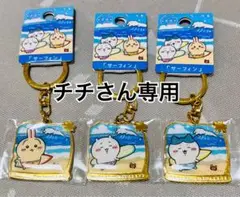 チチさん専用