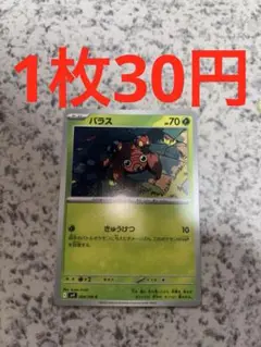 パラス　組み合わせ自由　バトルパートナーズ