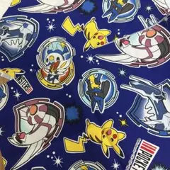 ポケモン　ハギレ生地　パルキア　ディアルガ　ポッチャマ　エースバーン　ピカチュウ