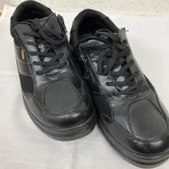 Item thumbnail for item 3f6bcf5b-6e81-4dac-95bb-e87c87e46ebe