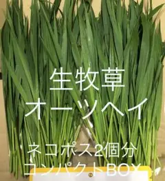 Item thumbnail for item 6e71f4a7-a6e4-49fd-8baf-5f8ff936aa10