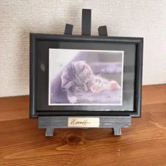 ★新品　未使用★ 写真立て　フォトフレーム　フォトスタンド　イーゼル　猫　黒