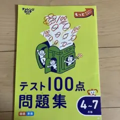 チャレンジタッチ2年生　テスト100点問題集