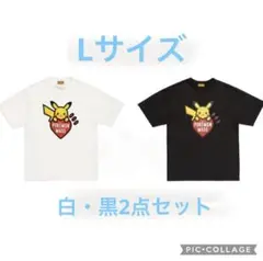 Item thumbnail for item b7e46278-2c38-420b-b77c-509675e913b6