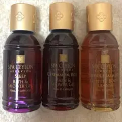 Item thumbnail for item f03bc265-bd48-4165-a708-ac07a0d9de05